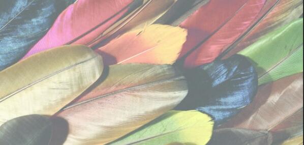 radicalheaders's tweet image. pretty multicolored header