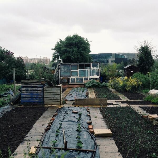 twisty's tweet photo. Shed at the allotment. http://t.co/YejjD403sC