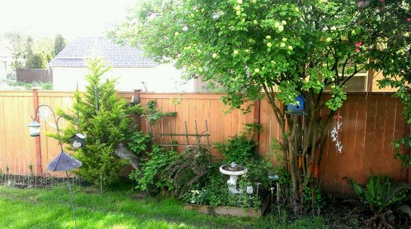 kedrie's tweet image. This morning&apos;s sunshine is brought to you by the letter C.  And is best enjoyed with a cup of coffee. #ThanksJava