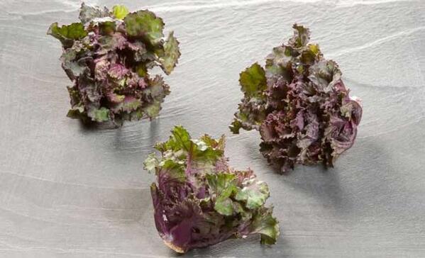 thedailymeal's tweet photo. Introducing Kalettes, a Kale and Brussels Sprout Hybrid from @SirMyers: http://t.co/zJxVczpfdl http://t.co/ManqhZjabS
