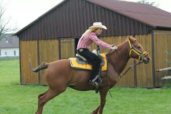For those who knows me better I won yesturday 2nd place in pole bending and 3rd in flag race! http://t<a href="/tag/sex"class="tags"><span>#sex</span></a><a href="/tag/porn"class="tags"><span>#porn</span></a><a href="/tag/camdolls"class="tags"><span>#camdolls</span></a>