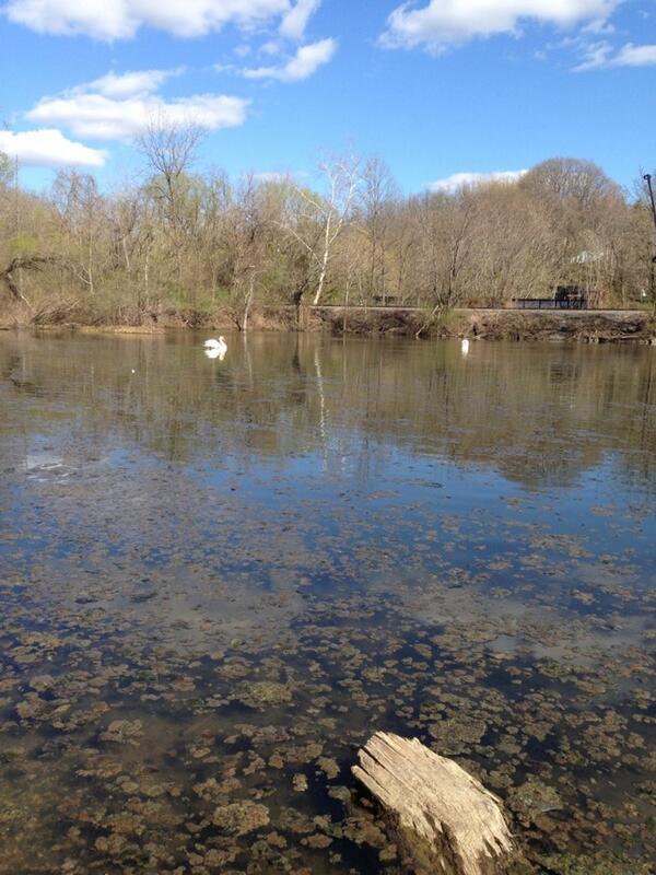 RatRob15's tweet image. 3 hours out fishing.... Not a single bite....