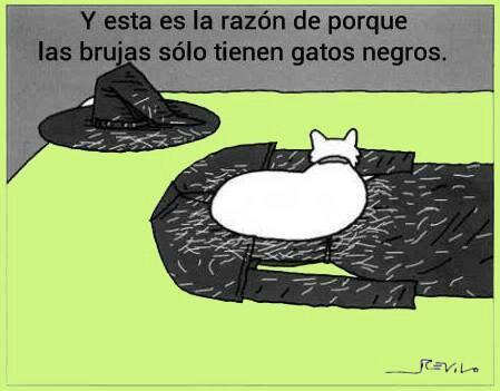 ayudaanimales2's tweet photo. Es solo por esto ¡¡¡ http://t.co/I6sQCtNsJk