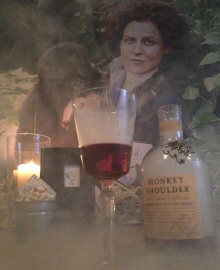 Show Me The Monkey tweet media