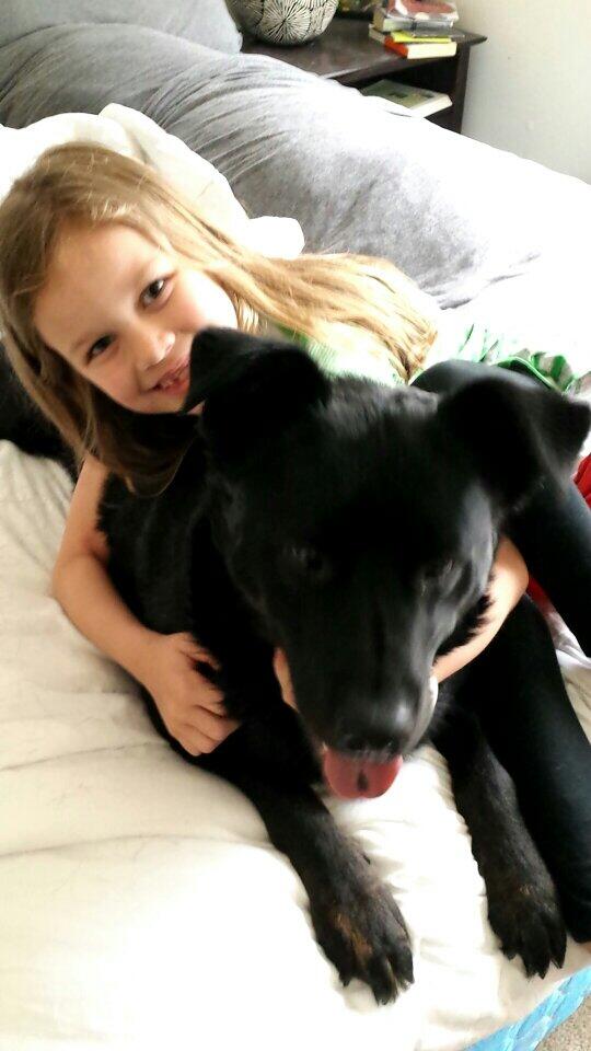 Lori Buttry tweet media