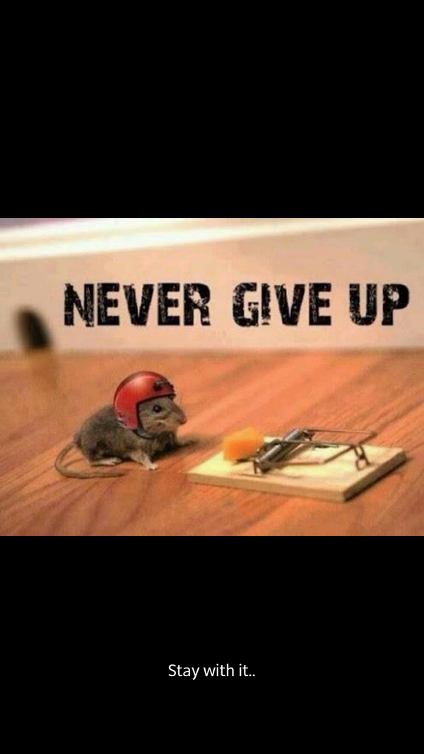 Leeresa Naidoo tweet media