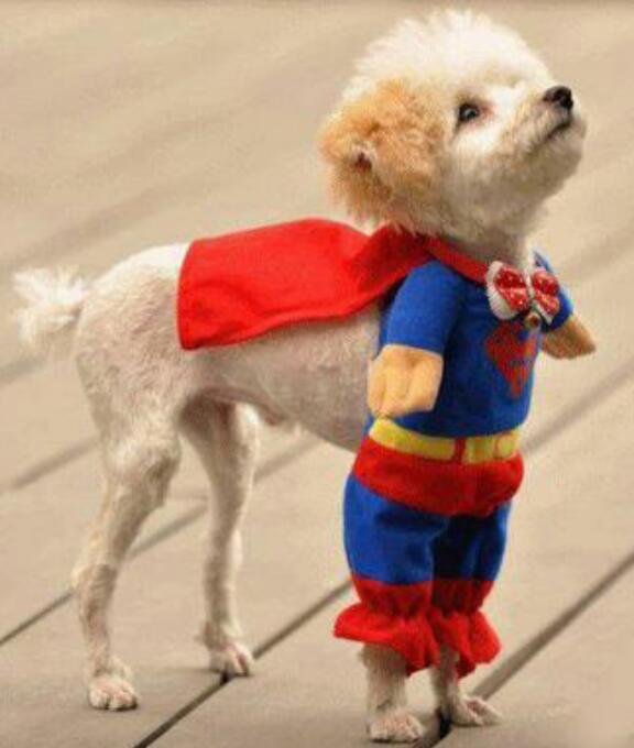 Leeresa Naidoo tweet media