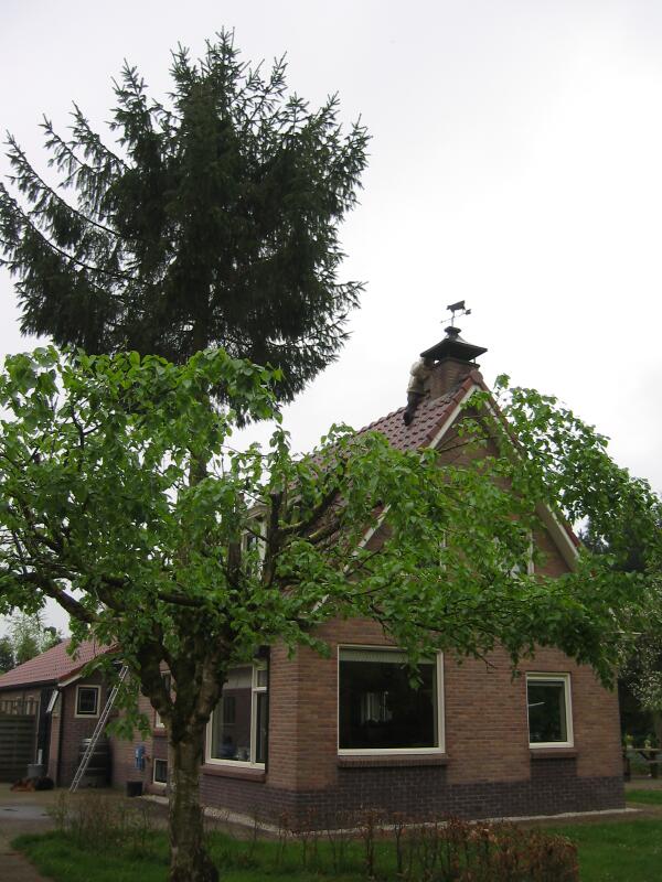 Imkerij <a href="/DeDelleburen/">De Delleburen</a> zoekt het hoger op,