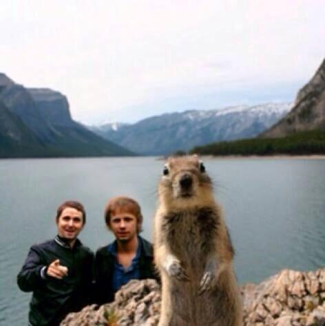 fullmuse's tweet image. 