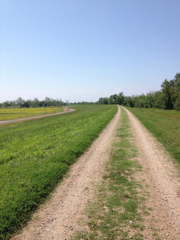 Troy Roussel tweet media