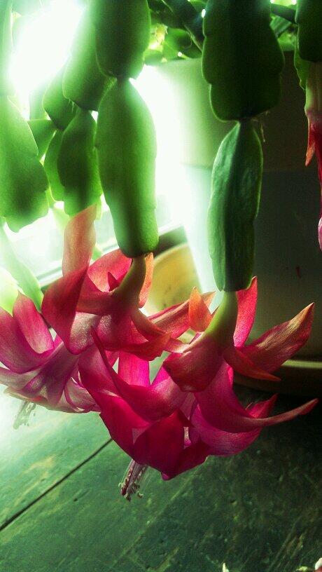 Kara Lock VanRoekel tweet media