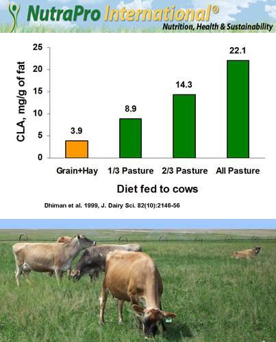 NutraProIntl's tweet photo. Butter Oil made from milk of cows fed grass only is nutritionally better. https://t.co/kIi3wWXV4H http://t.co/iOY0Wp0HJd