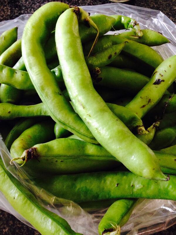 globalraw's tweet image. Found these gorgeous favs beans @ #farmersmarket #inspired