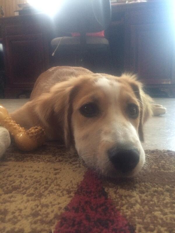kacrenee's tweet photo. Getting so big!!! http://t.co/cInLGyrBUC