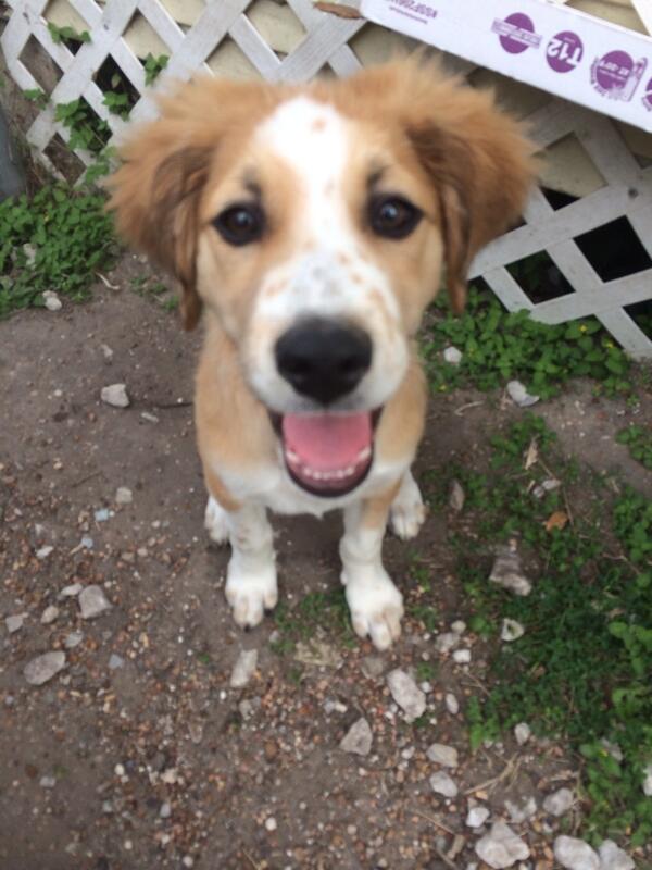 kacrenee's tweet photo. Getting so big!!! http://t.co/cInLGyrBUC