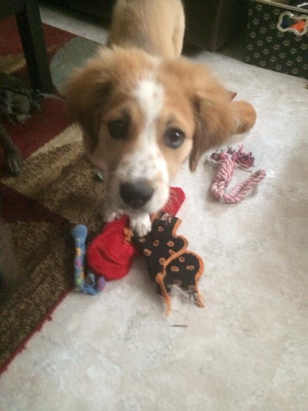 kacrenee's tweet photo. Getting so big!!! http://t.co/cInLGyrBUC