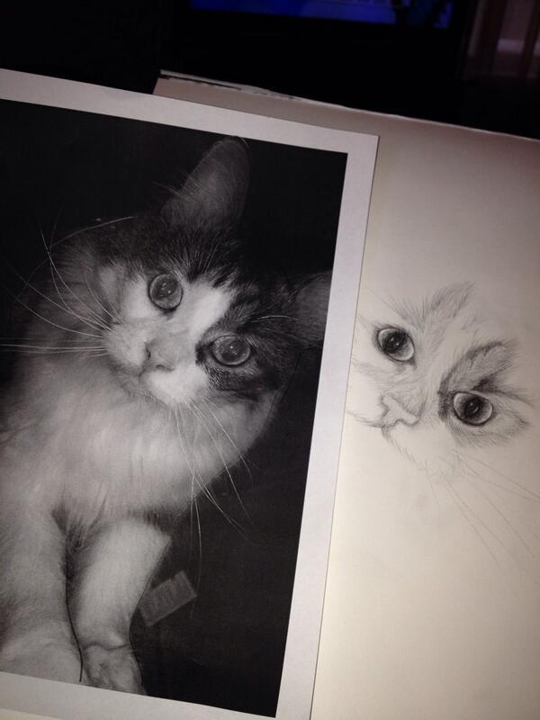 TrinasCakes's tweet photo. Drawing one of the men in my life. What do you think? http://t.co/IziwL3OEVc
