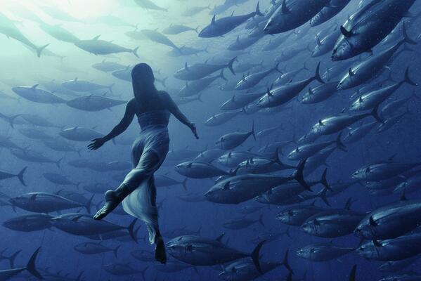 23 Fantastic Underwater Images - Digital Photography School - bit.ly/1rCijbw