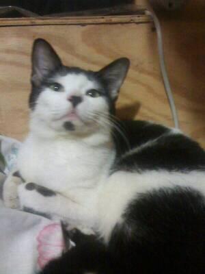 Ps1336607's tweet photo. Nick. BALLS ((( AIKI TUD))) linda http://t.co/LSJh2f5Xav