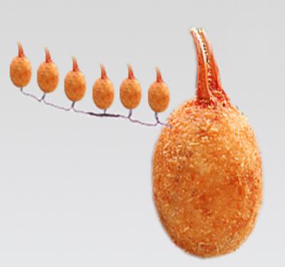 白石 清 على تويتر さて 喰うや Rt Halle Uchida カニクリームコロッケが唱えた念仏から尊いカニクリームコロッケが生まれる画像ください Http T Co 9faqmwyoje 白石 清 على تويتر さて 喰うや Rt Halle Uchida カニクリームコロッケが唱えた念仏から尊いカニクリームコロッケが生まれる画像ください Http T Co 9faqmwyoje