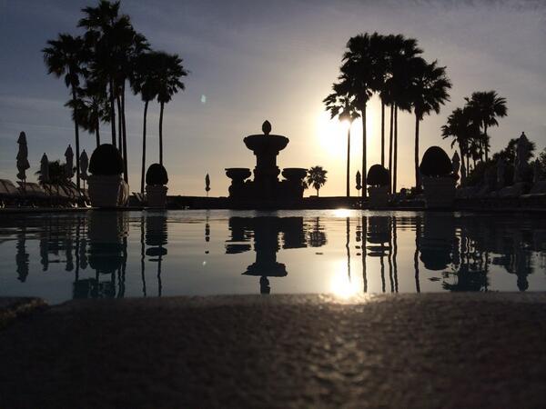 markmcmorris tweet picture