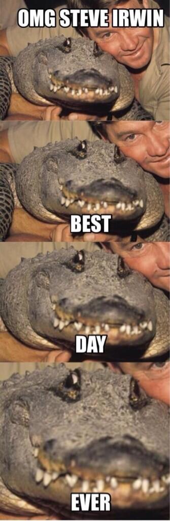 BestProHumor's tweet photo. I miss Steve http://t.co/X9VkieiOYC
