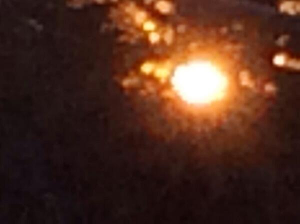 FlailMe's tweet image. Looks like a bunch in this shot but what do I know...