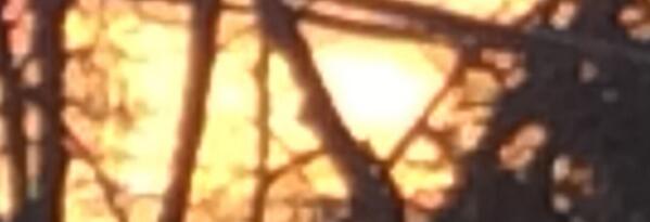 FlailMe's tweet image. 