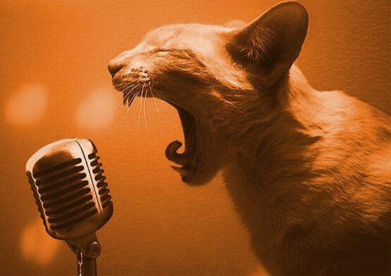 brand new ÐRÀS†IK KÀ†Z - "DELORES" -------- soundcloud.com/drastik-katz/d…