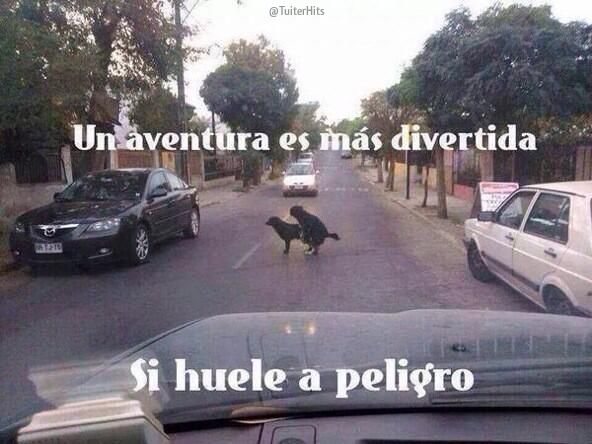 TuiterHits's tweet photo. “Una aventura es más divertida si huele a peligro” http://t.co/C8dh2myZxd