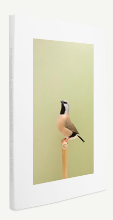 Incomdictionary's tweet photo. @FINCHITTIDA This one ! http://t.co/fDBuCHynBW