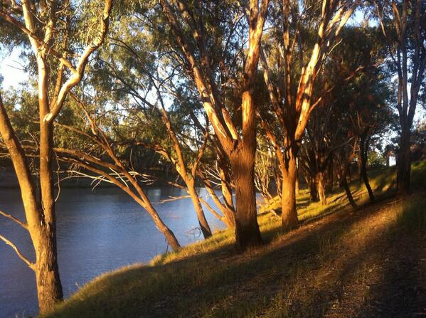 Luke Stegemann tweet media