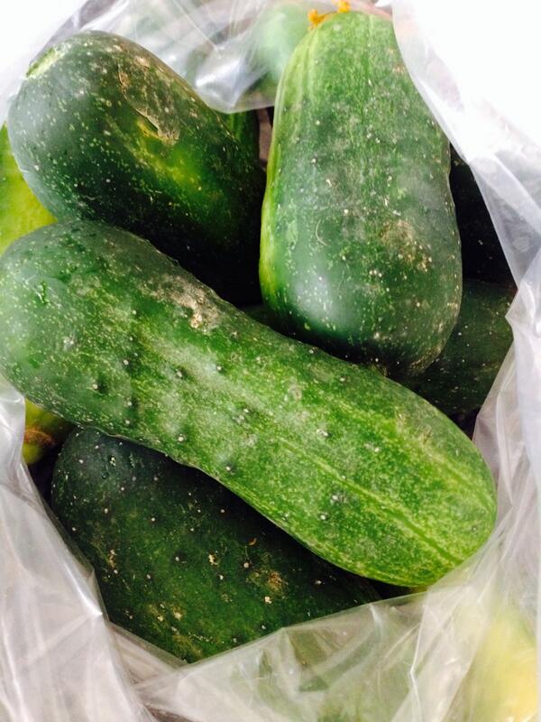 globalraw's tweet image. Making raw pickles tomorrow. Many offerings @ FM today. Love making seasonal dishes! #supportlocalfarms