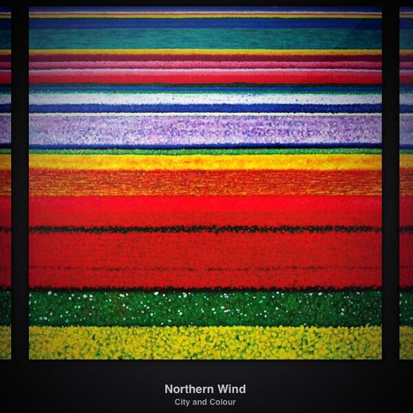 teemaariee's tweet image. You don&apos;t know what you do to me💕 #happybeyondwords