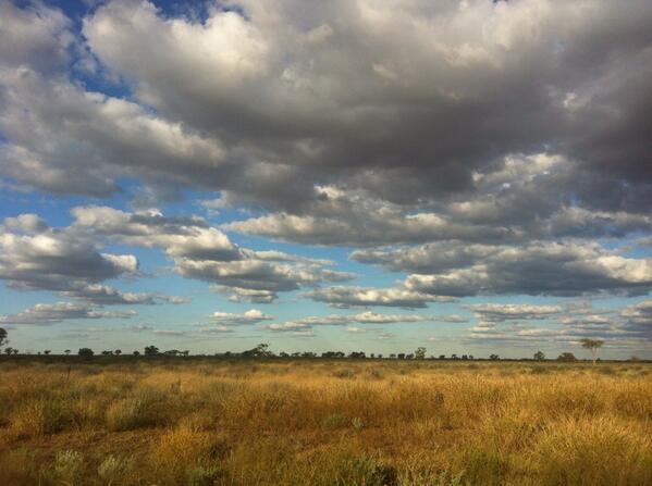 Luke Stegemann tweet media