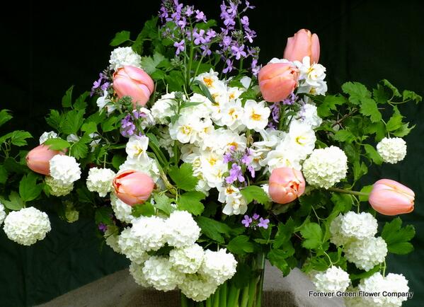 fgflowers tweet picture