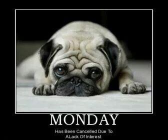 Pembroke_Castle's tweet photo. Pugs say it best http://t.co/06vcf3XC1w