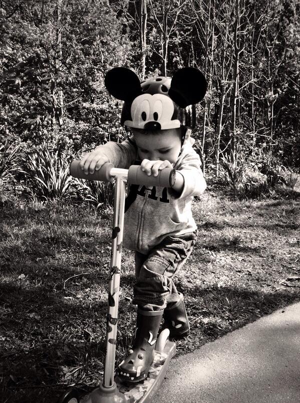 Ready, Teddy, Scoot tweet media