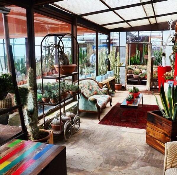 GiromagiCactus's tweet photo. #cortonatwitter #enjoythecommunity #cortonagarden #gardendesign #succulentplant #piantegrasse #cactus  #gardens http://t.co/Er5YvO70RC