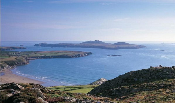 stdavidspembs's tweet image. Wow! What a beautiful day :)#stdavids #5goatstreet