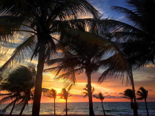 Visit Lauderdale tweet media