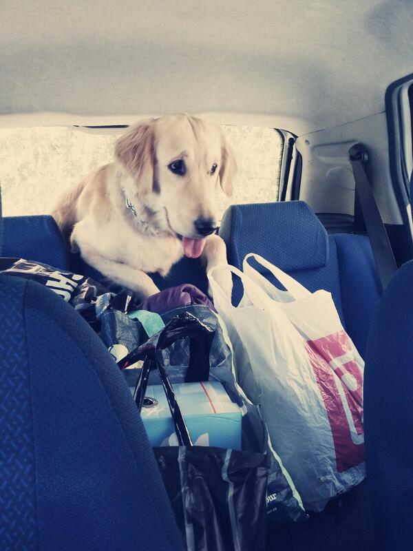 rocio_lianez's tweet photo. Como???? Q nos vamos al portil?? :D http://t.co/0qFwOCjWOE