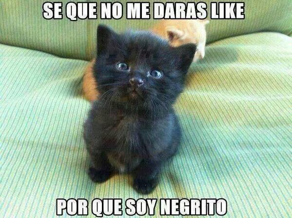 CveSilvia's tweet photo. @los40p b http://t.co/mPzLG2OdCA