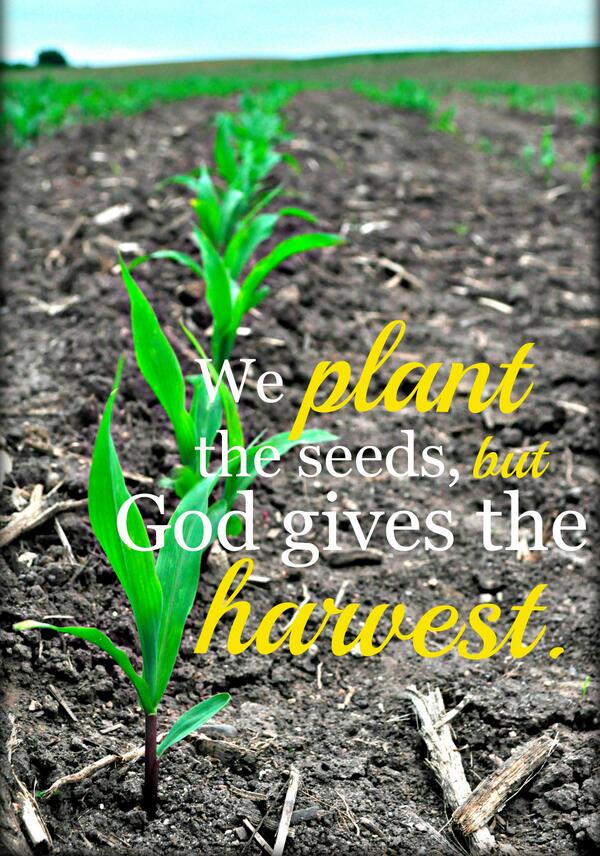 Dairy Tweets® tweet media