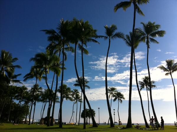 hawaii_ryugaku's tweet photo. ビーチ沿いを散歩するといつでもリフレッシュ出来る景色に出会えます。街全体が癒しです。 #ハワイ留学 #アメリカ留学 #FunAbroad https://t.co/BVoUBFQiY1