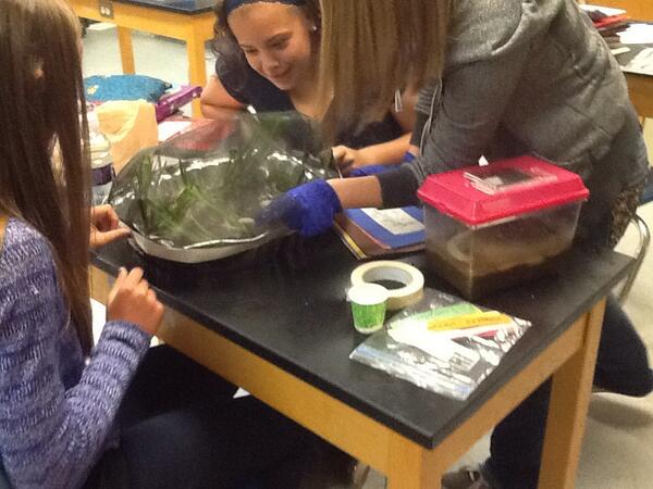 IGC2014's tweet photo. RT @BCHSstory April 28: Students preparing homes for their athletes! Training for the games! #waterstriders @IGC2014 http://t.co/IH40tUyxFD