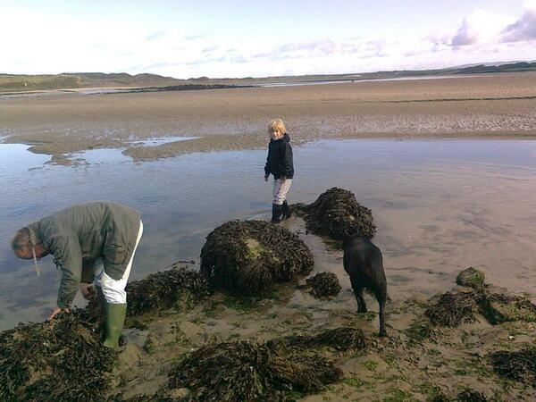 Denis Quinn tweet media