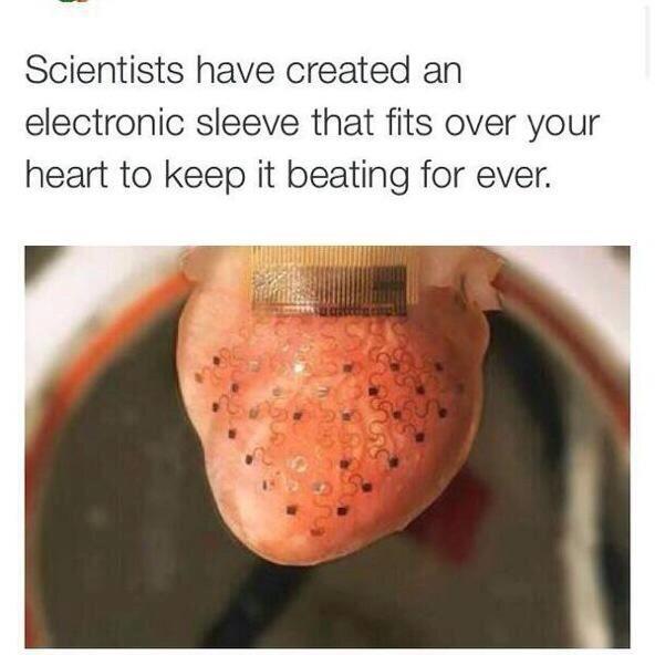 fuminfun's tweet image. 