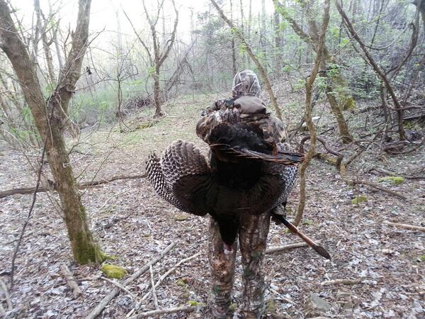 Good bird called in by our friend Jimmy Lawson on opening day.