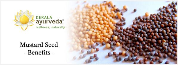 Mustard seeds are small yet effective in curing many health disorders. ayurvedaacademy.com/blogs/mustard-…